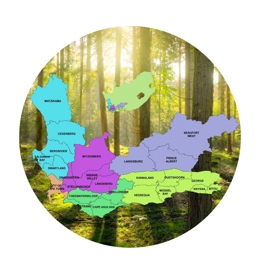 Tree Felling Western Cape