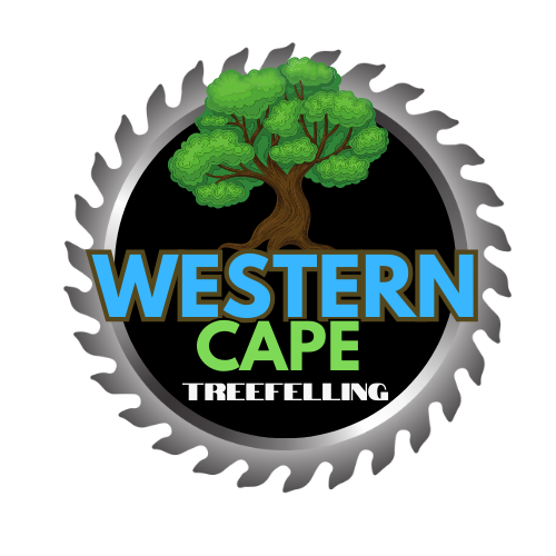 Western Cape tree felling