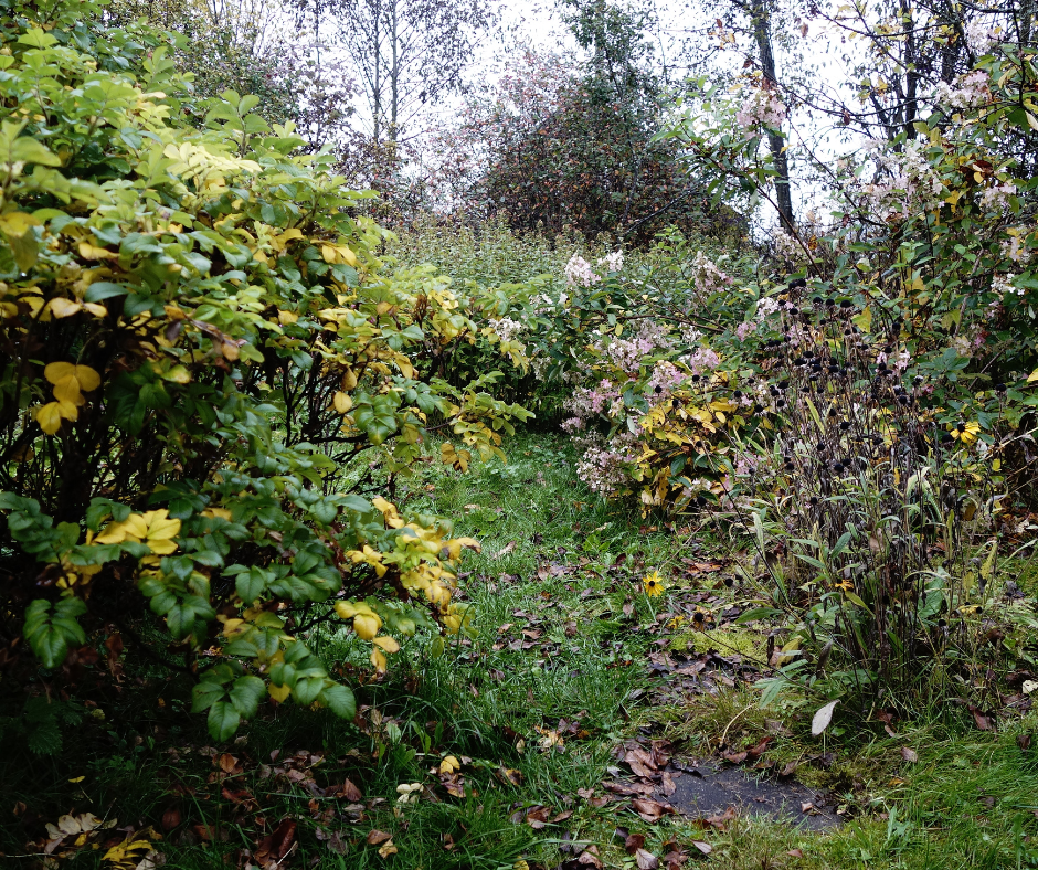 garden growth contro garden growth contro
