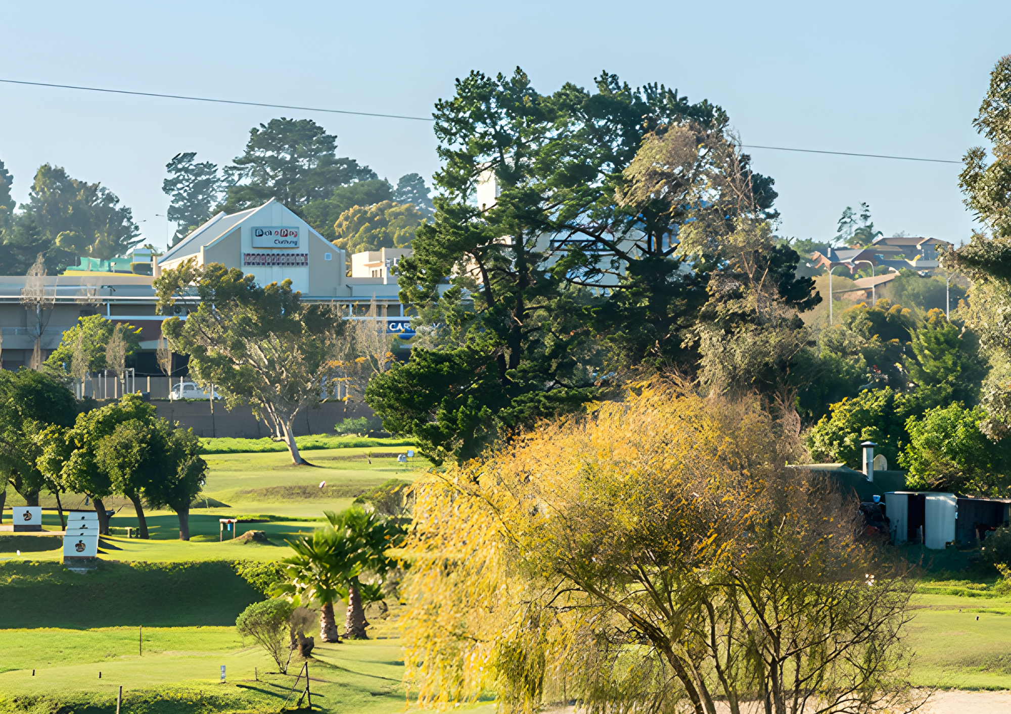 Tree Felling in Brackenfell Cape Town Professional tree felling and landscaping services in Brackenfell, Cape Town