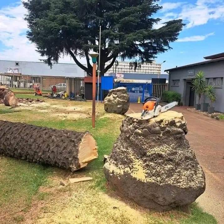 Stump Removal – Stellenbosch Professional stump removal service in Stellenbosch