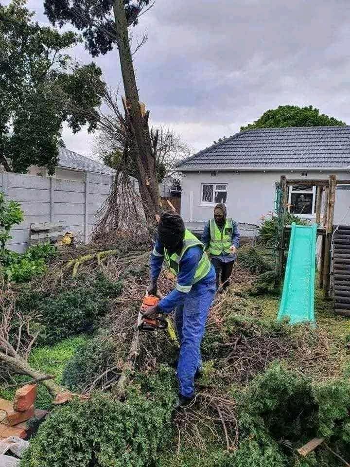 Tree Felling in Brackenfell Cape Town Professional tree felling and landscaping services in Brackenfell, Cape Town