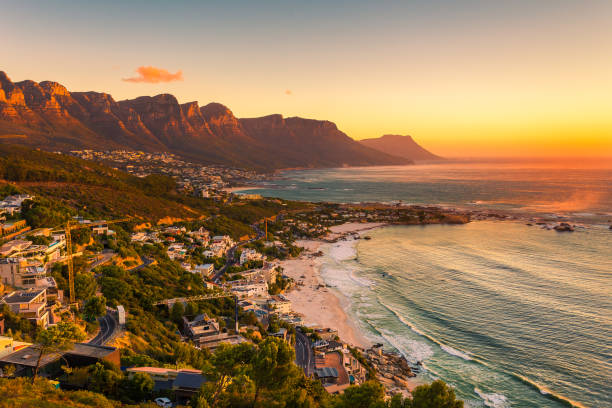 Spring Tree care Spring Season Tree Care in Western cape